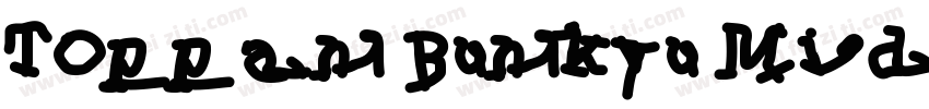Toppan Bunkyu Midashi Mincho Extrab字体转换